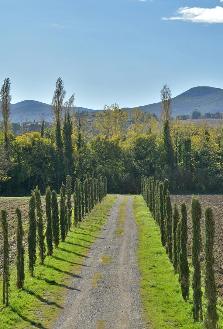 Podere La Querciola Guardistallo Exterior photo